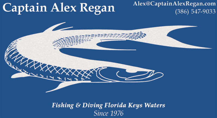 Captain Alex Regan - Fishing & Diving Florida Keys Waters Since 1976